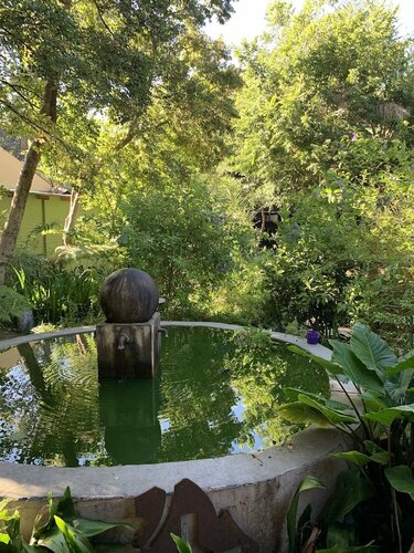 Внешний вид отеля The Rabbit Hole Hotel в Муниципалитете Могале-Сити, фото 5