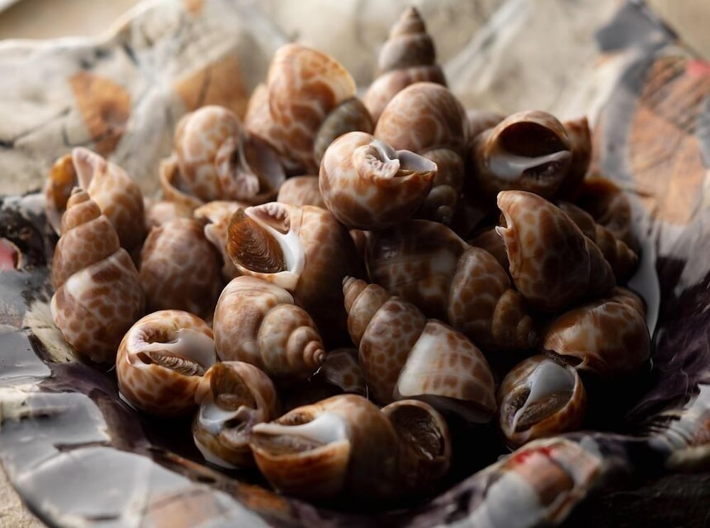 Фото Hotel Vischio Toyama by Granvia