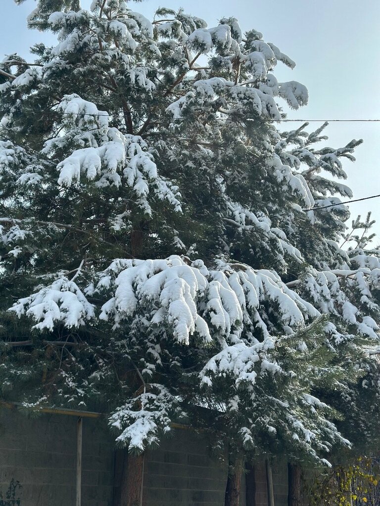 Design institute National Project-2018, Almaty, photo