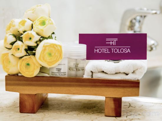 Фото Hotel Tolosa