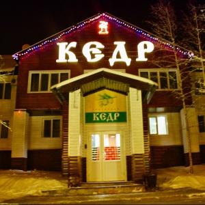 Фото Кедр