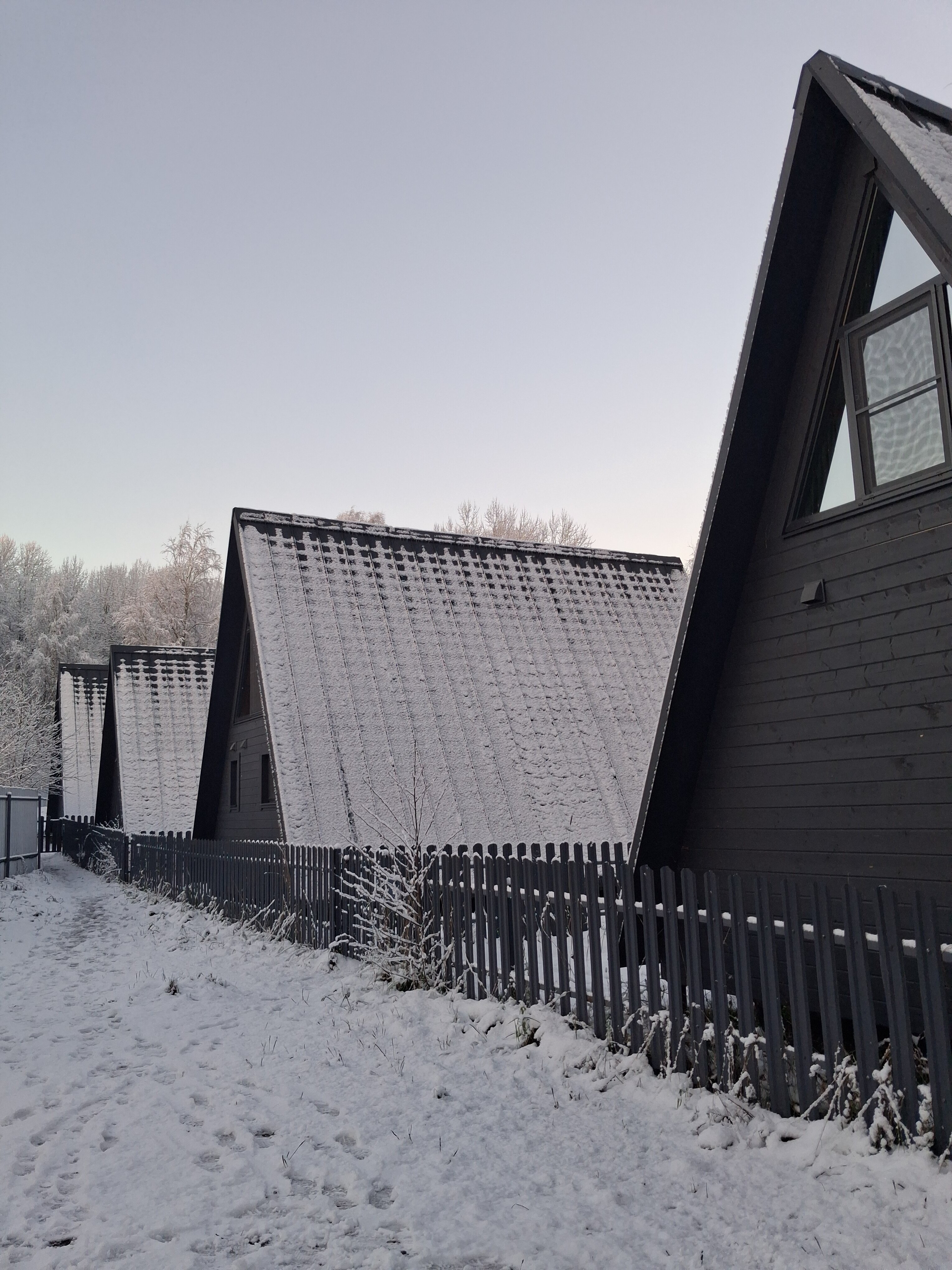 Фото Ёlki в Правдинское озеро