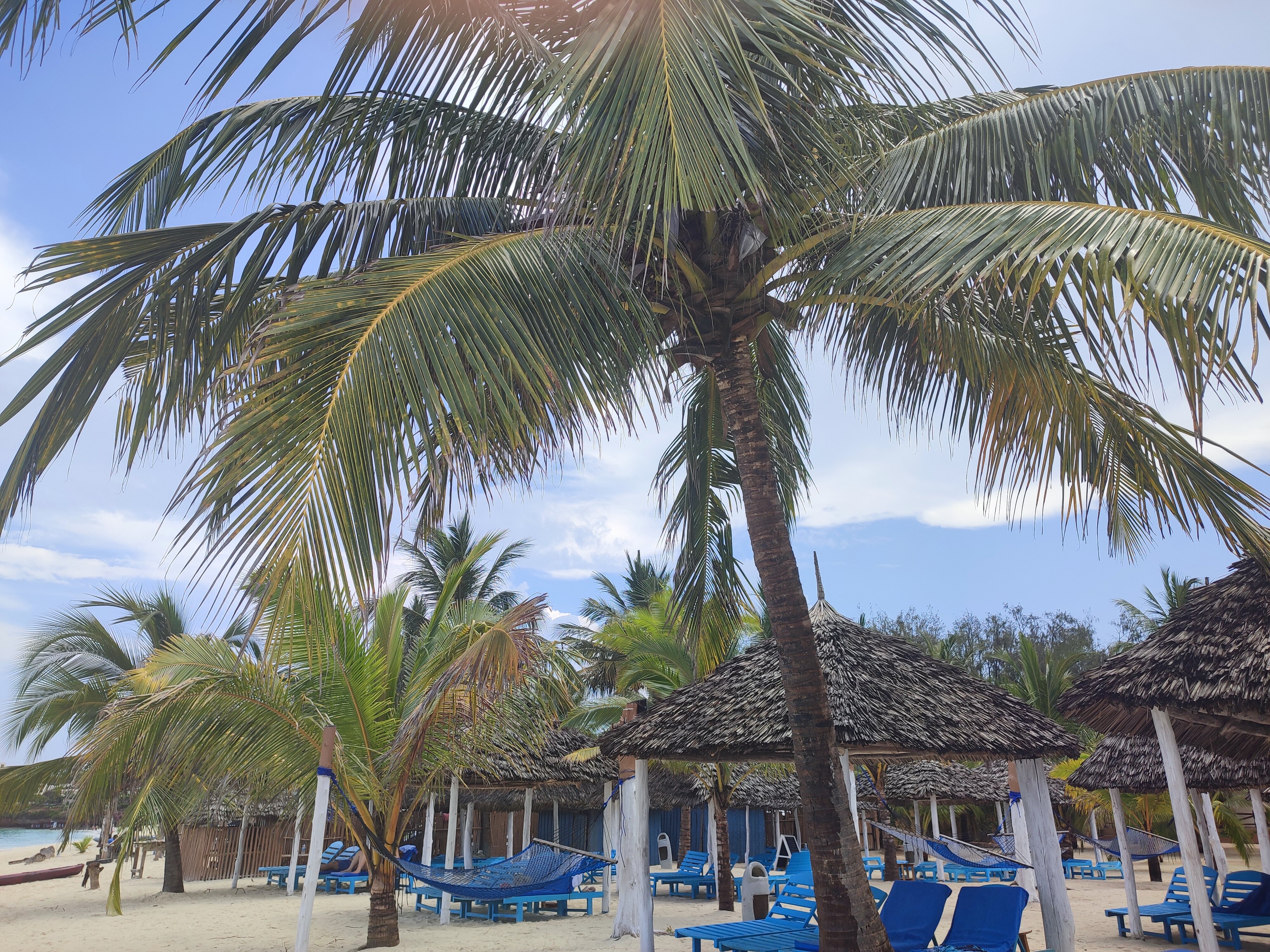 Фото Tropicana Kendwa Beach