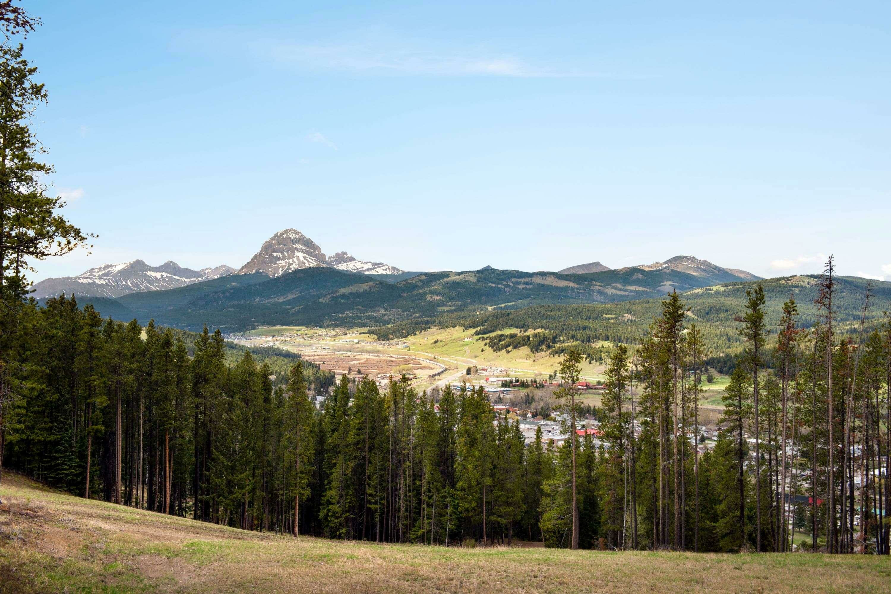 Фото 241553819836