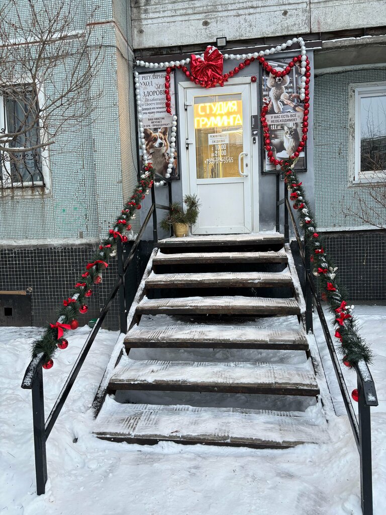 Pet salon Студия Груминга, Novokuznetsk, photo