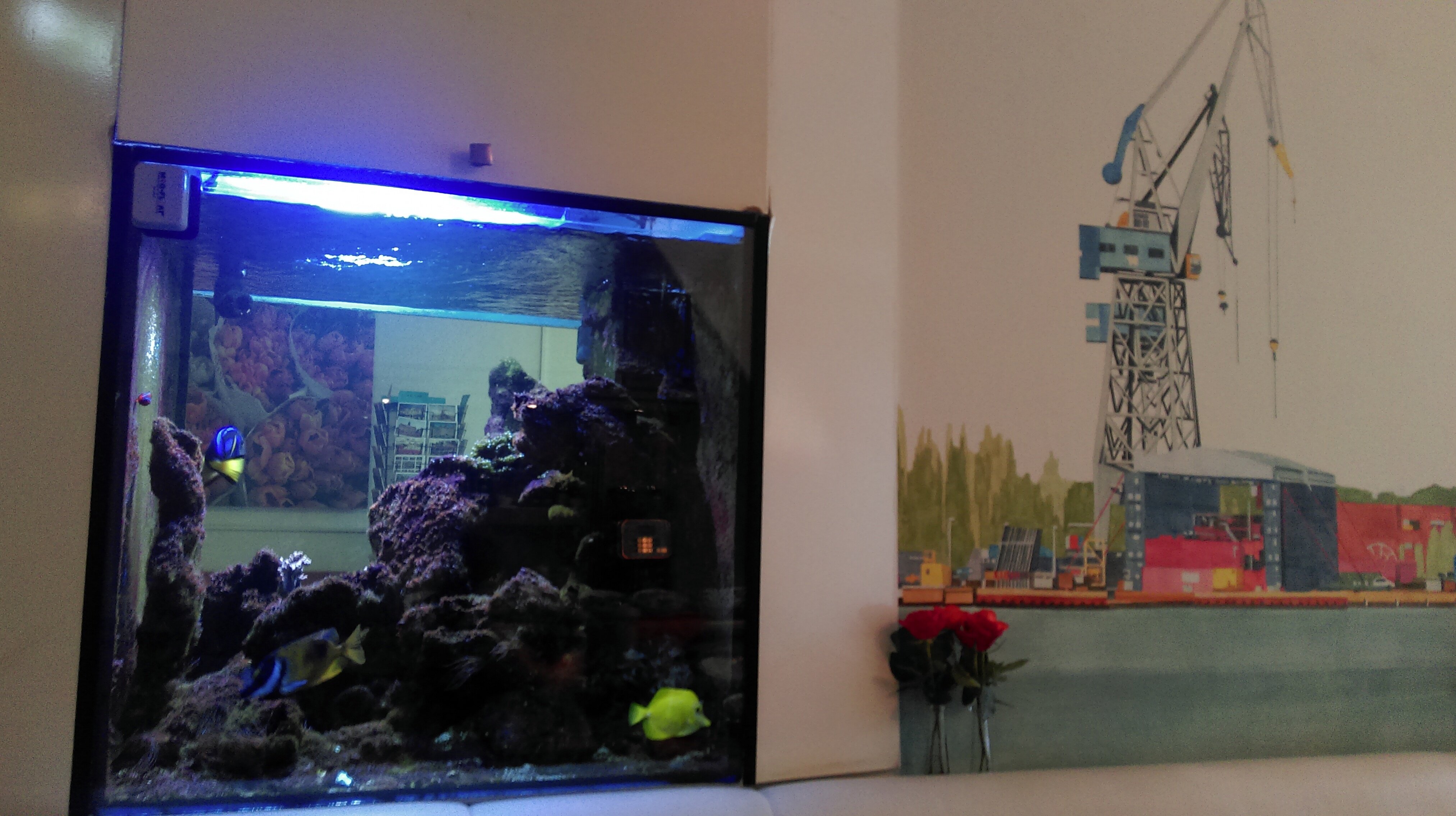 Фото Hotel Multatuli