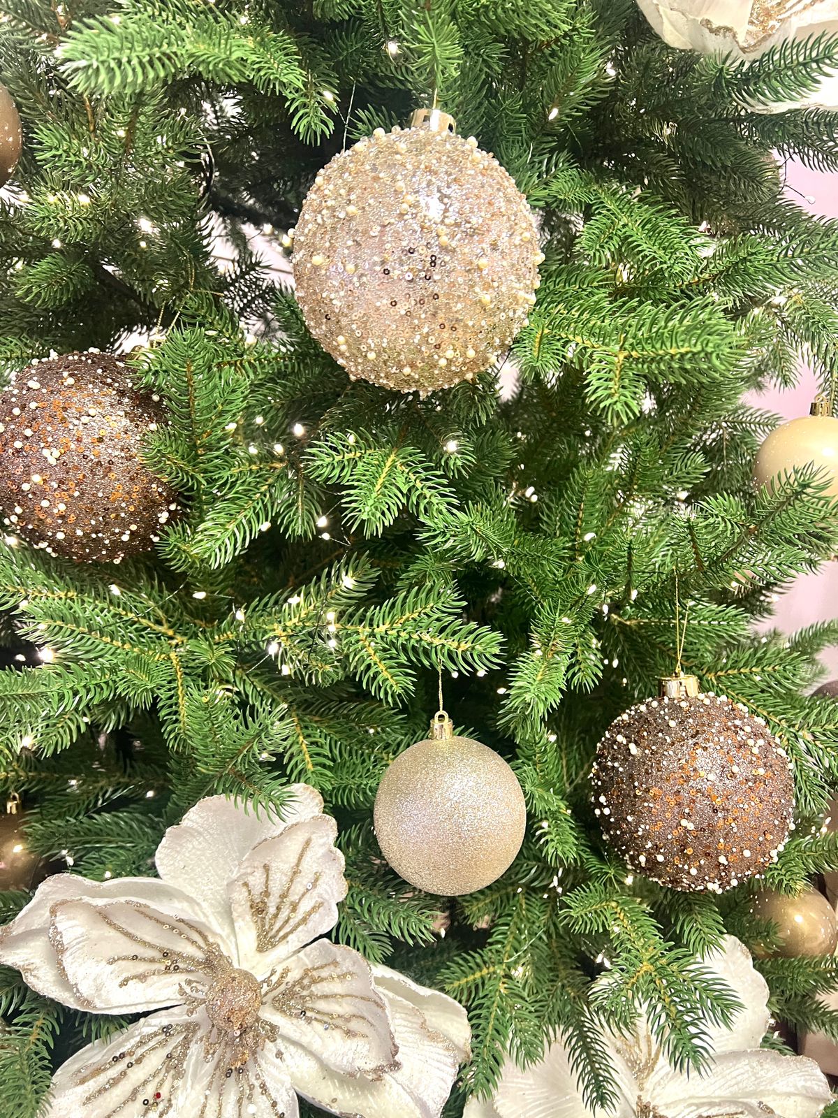 Фото Антонпалыч