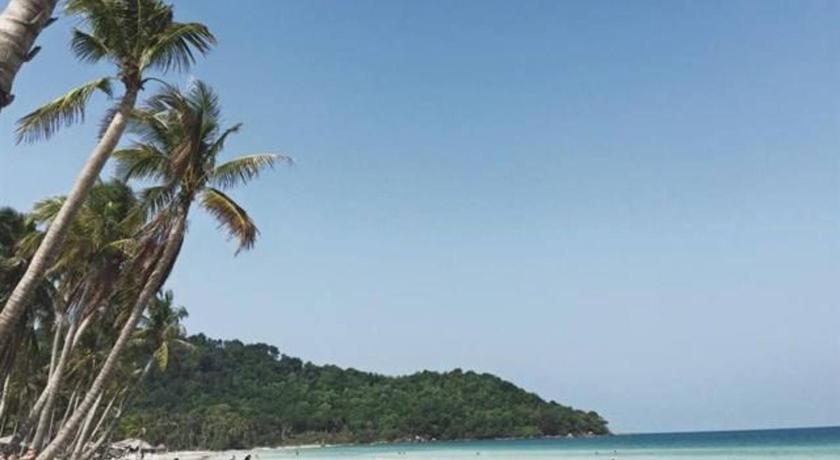 Фото Thanh Vy Hotel