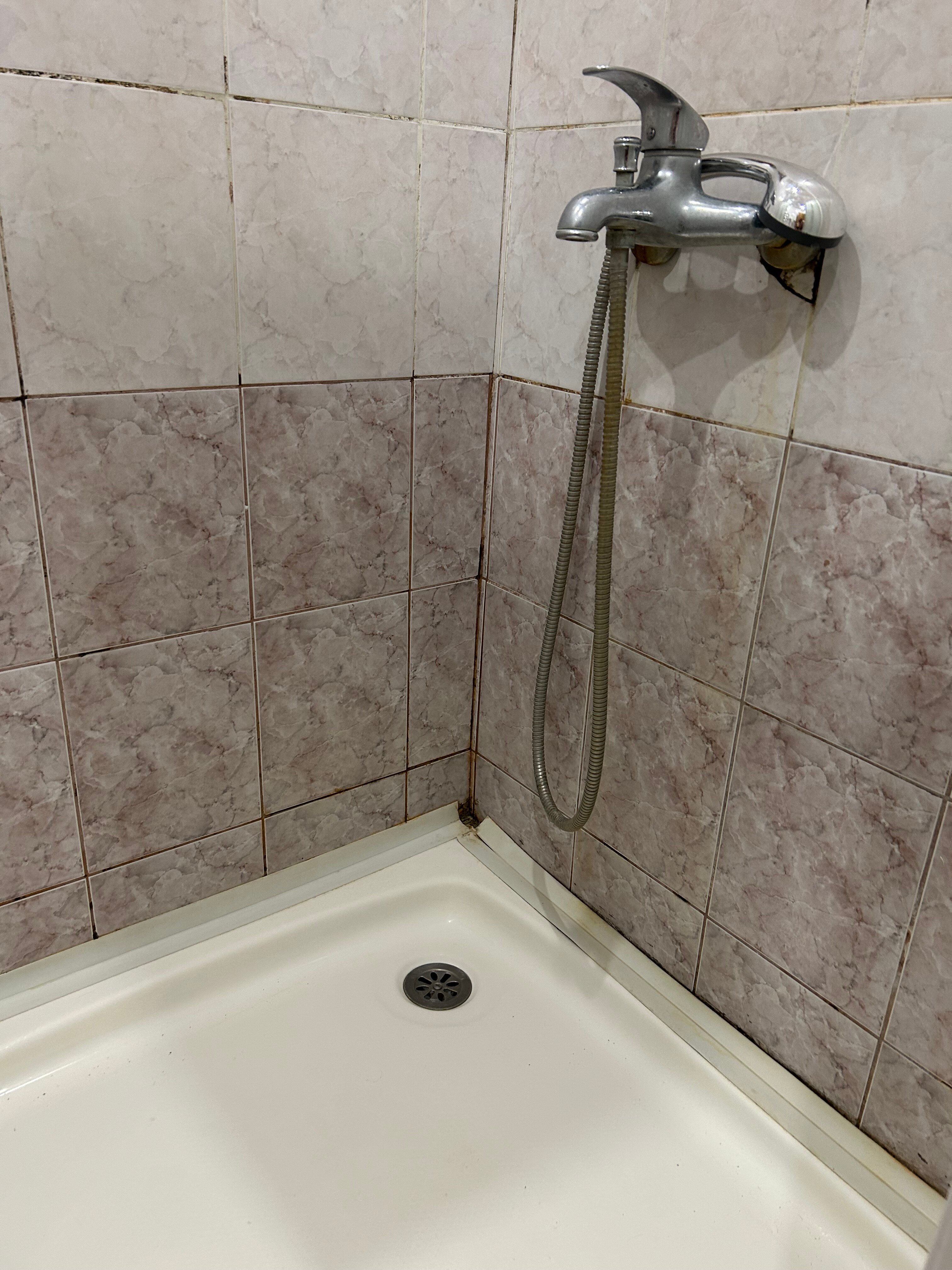 Фото Континенталь