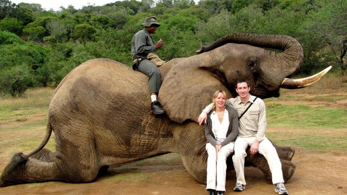 Фото Kronenhoff Guest House