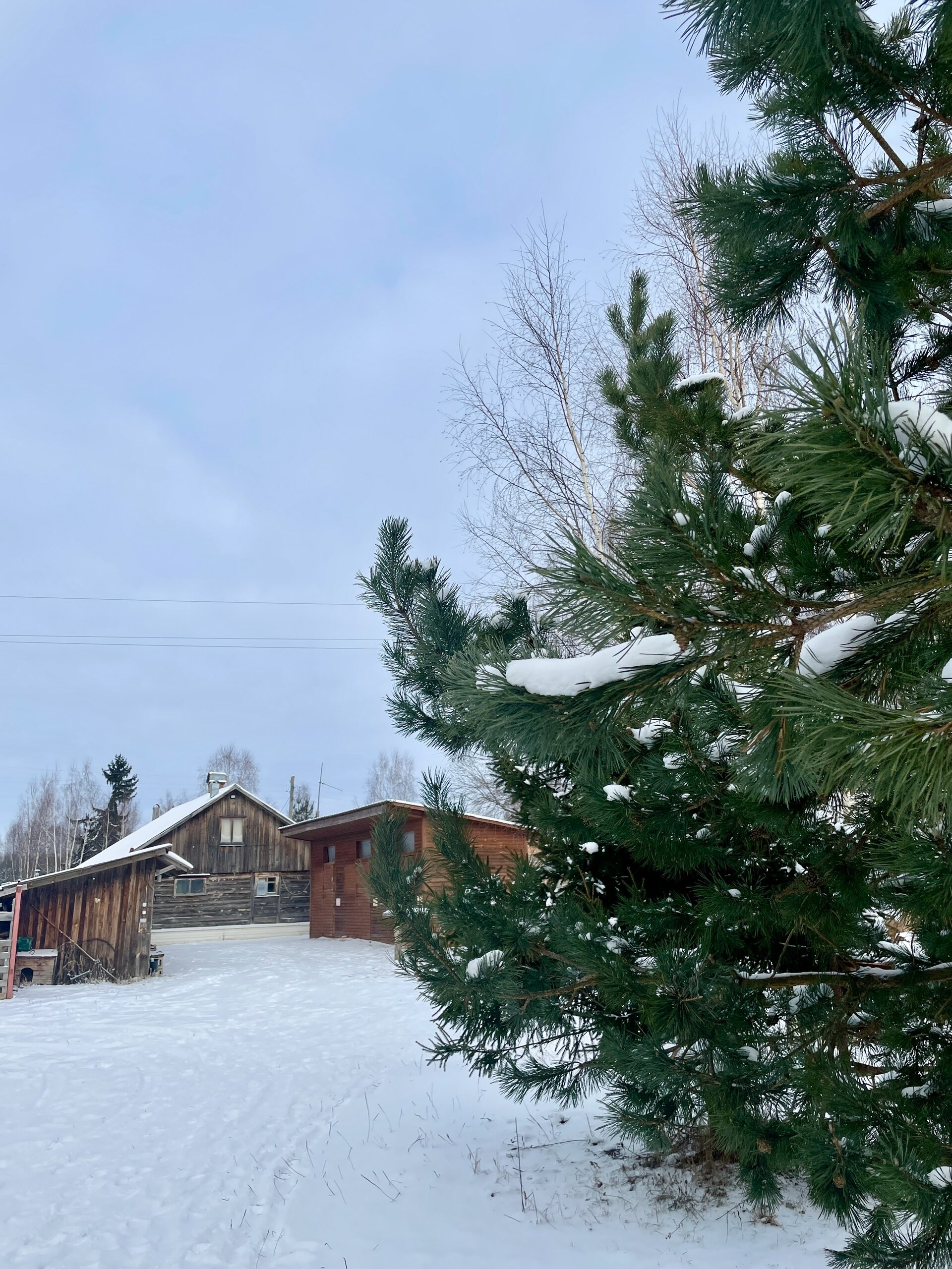 Фото Экопарк Акулово