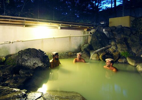 Гостиница Okunikko Konishi Hotel в Префектуре Тотиги