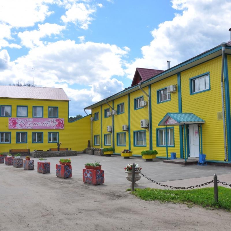 Фото Камелия