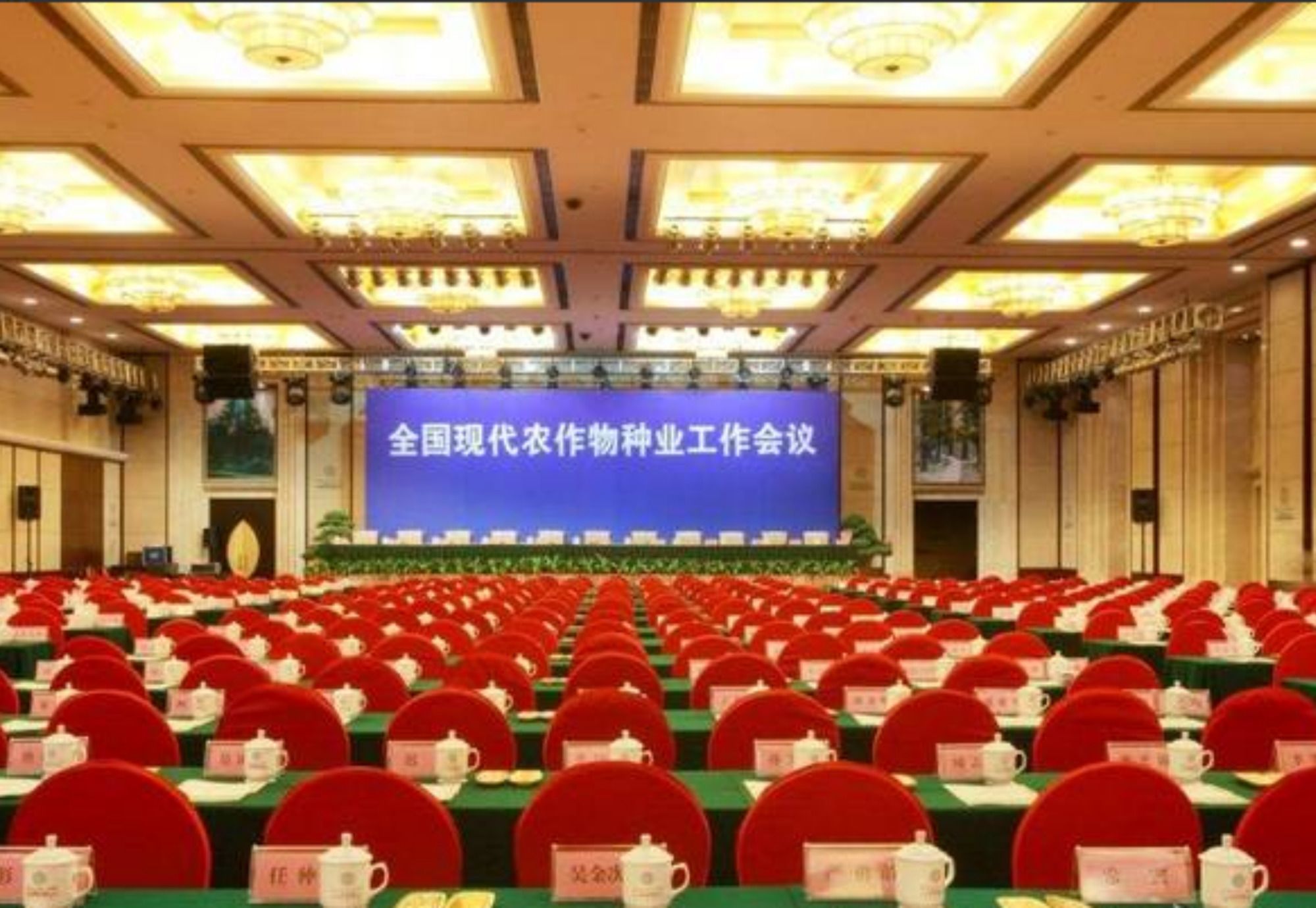 Фото Vaya International Hotel