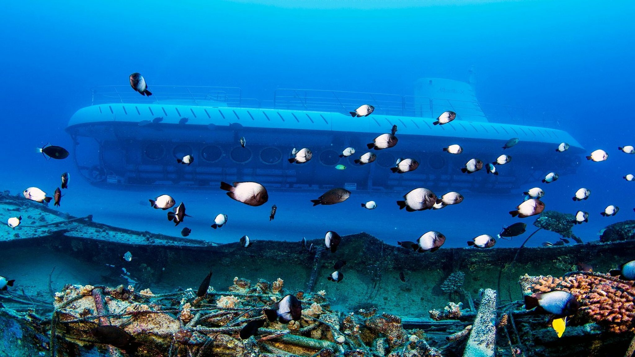 Фото Holiday Inn Express Hotel & Suites Kailua-Kona, an Ihg Hotel