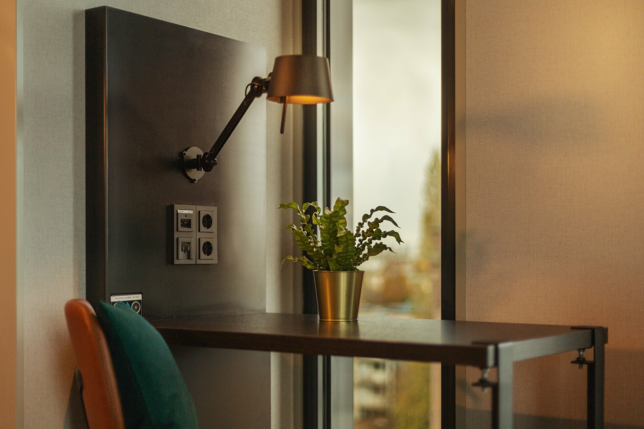 Фото The niu Fender