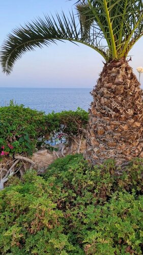 Гостиница Stella Di Mare Beach Hotel & Spa в Наама Бей