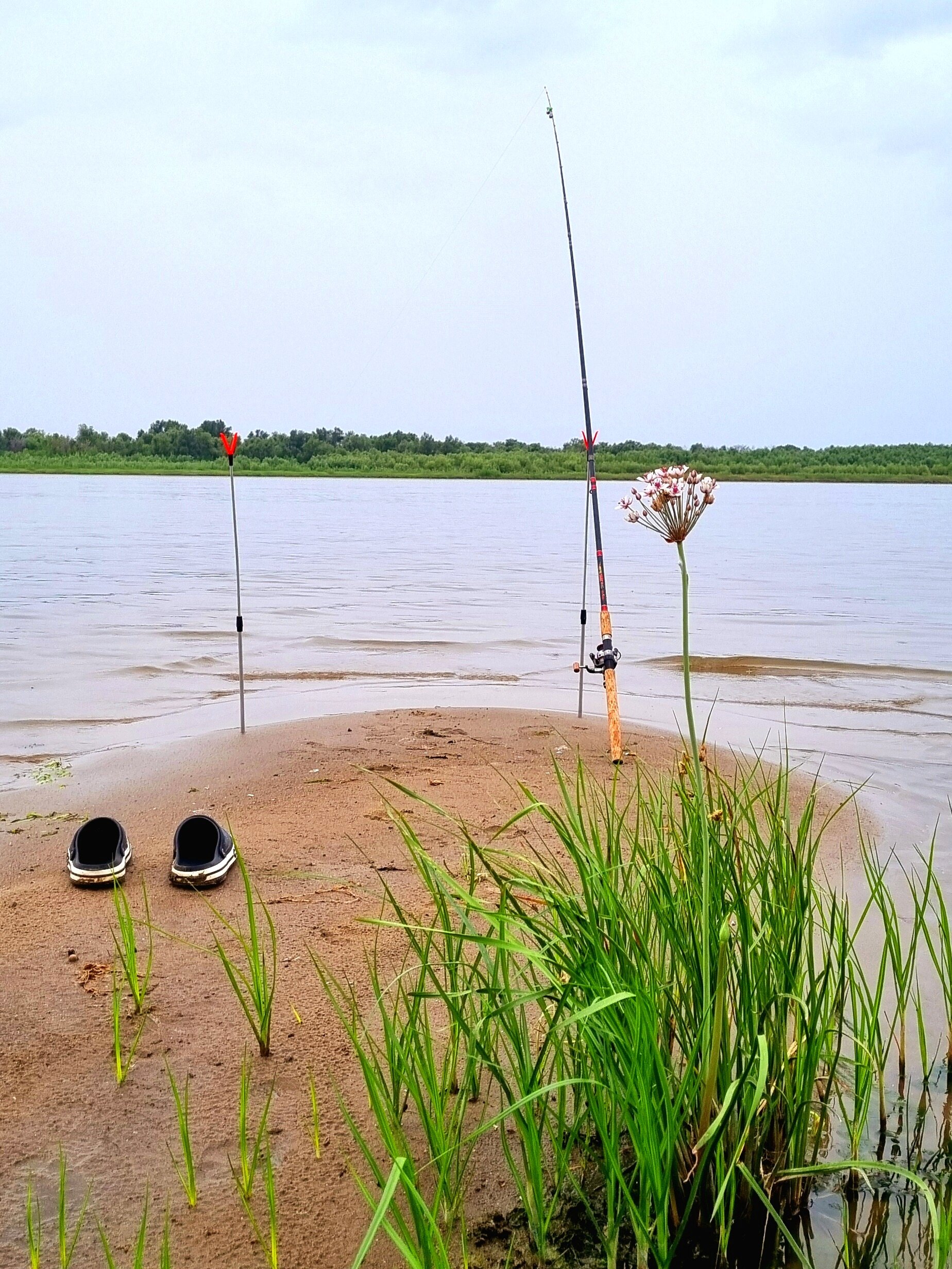 Фото Синяя птица