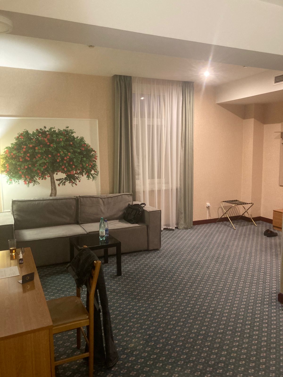 Фото Луна и Лотос