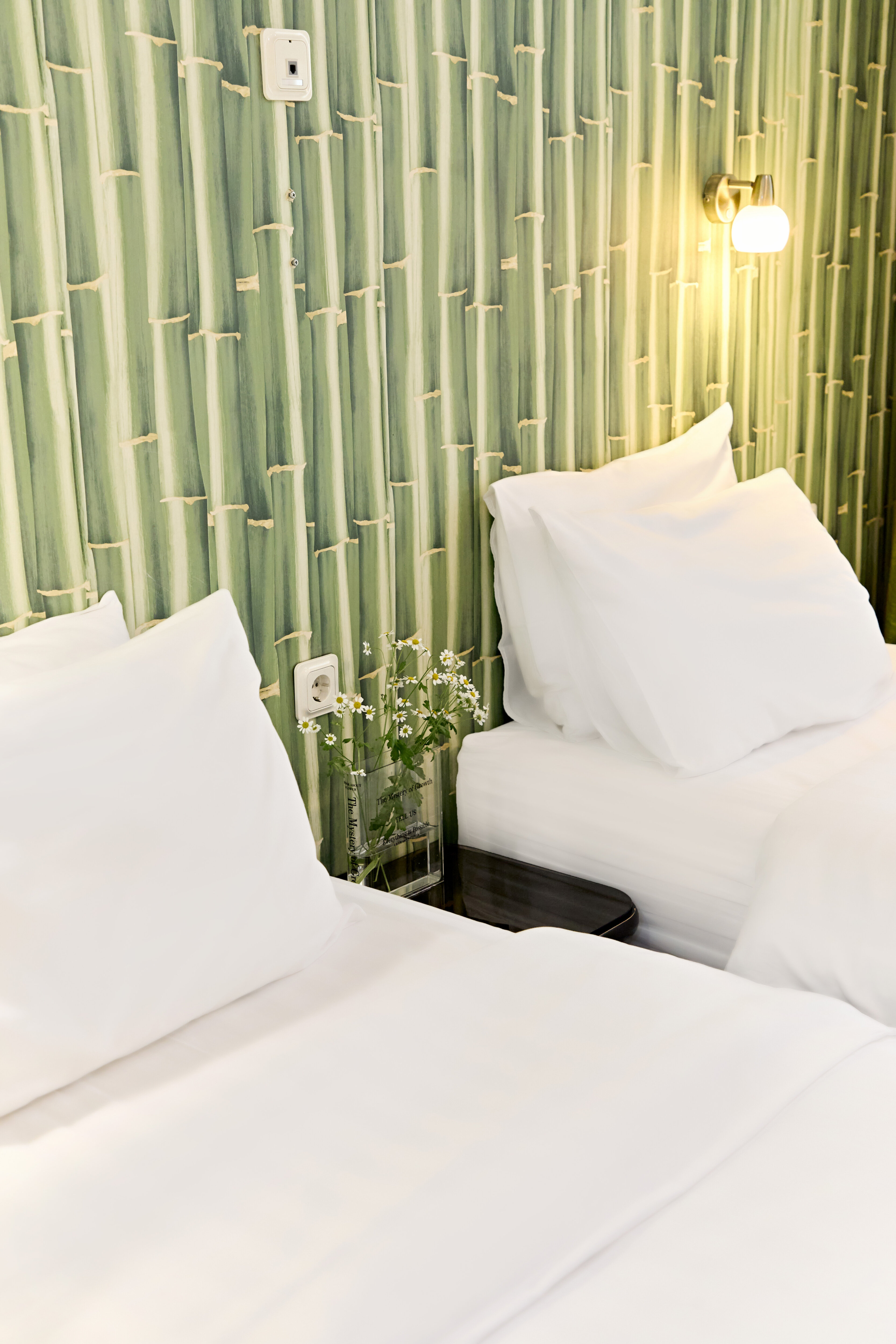 Фото Невский контур