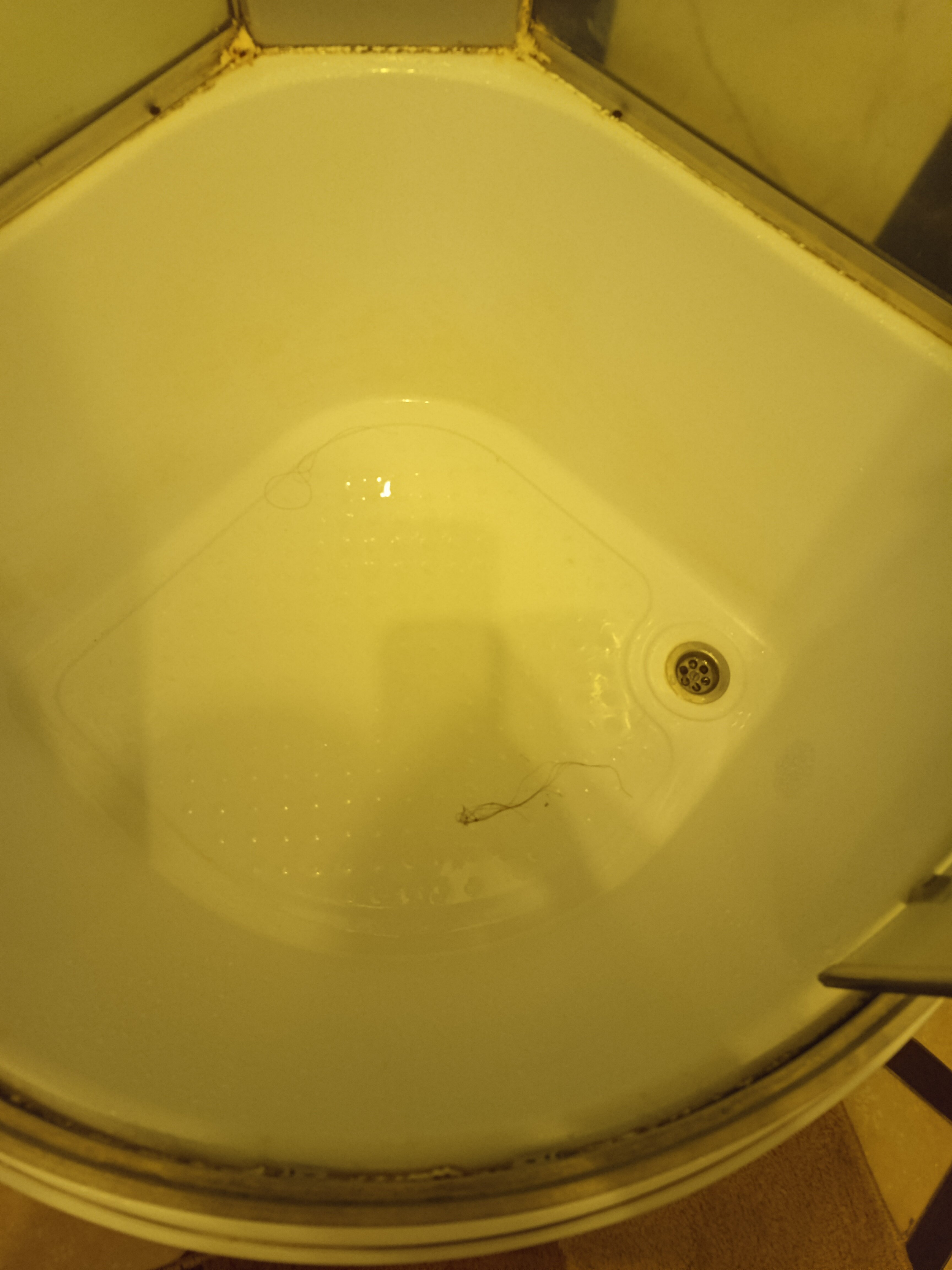 Фото Звёздная