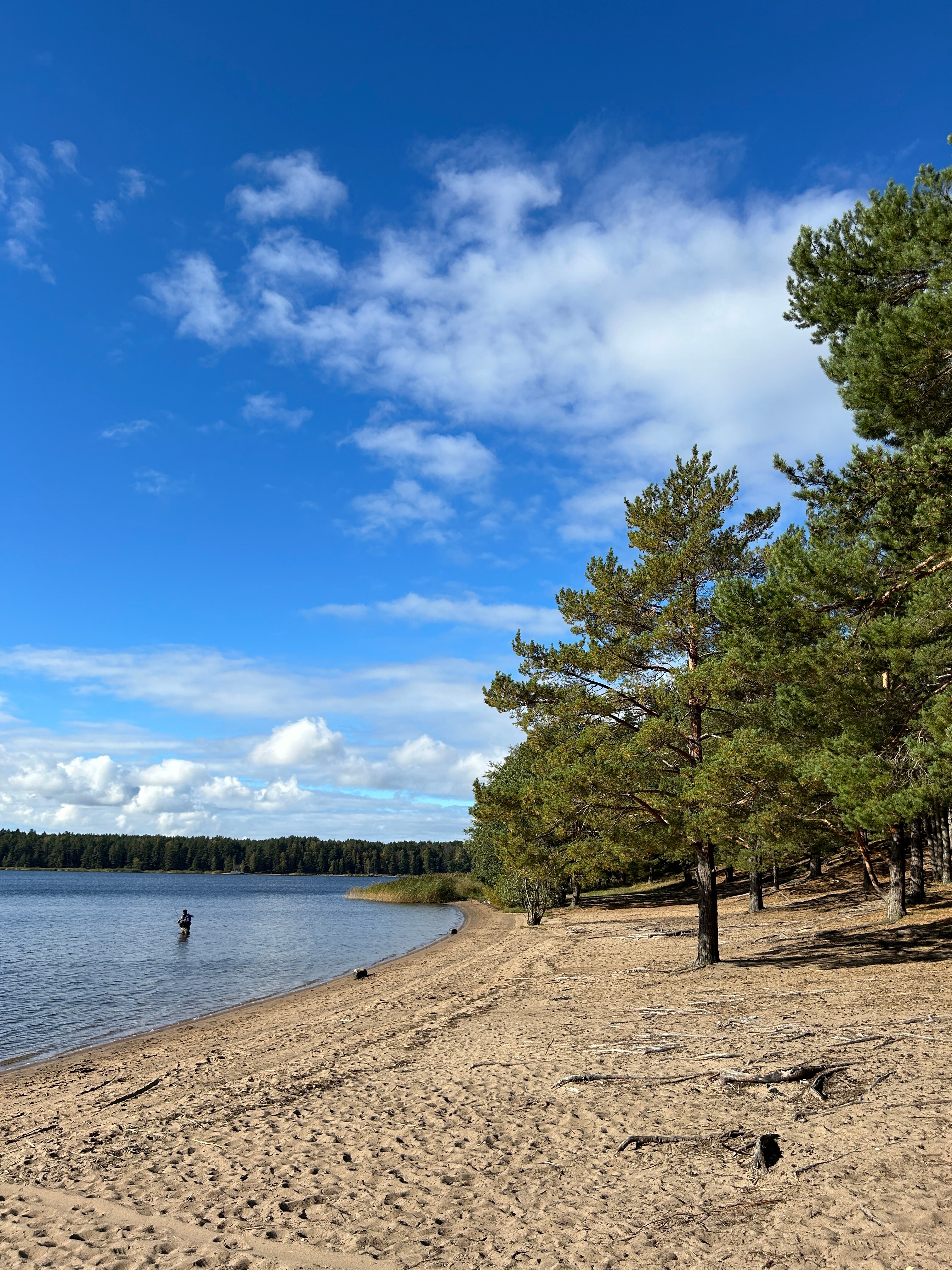 Braziliyalik karnaval jinsiy aloqa