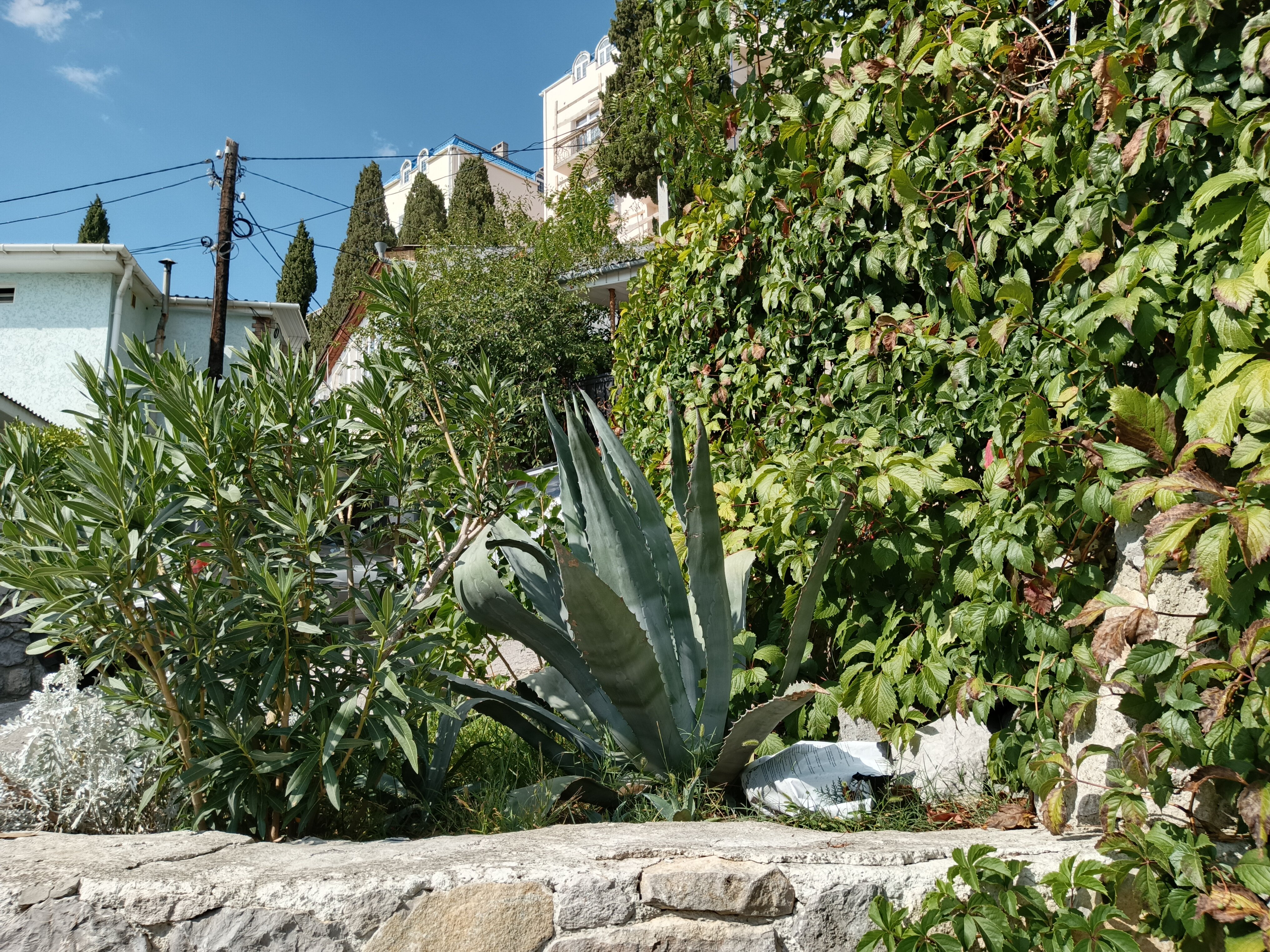 Фото Усадьба у графского парка