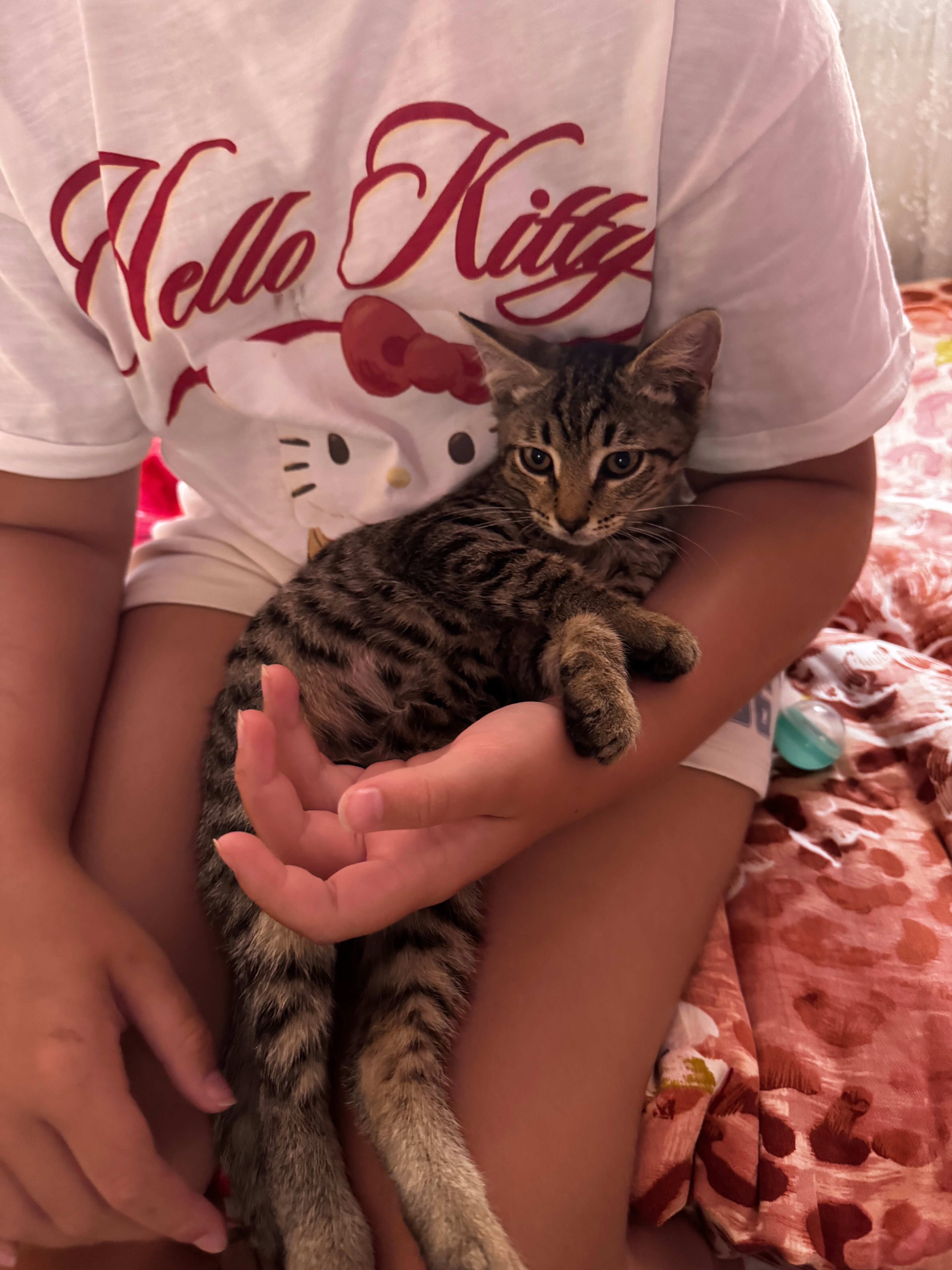 Фото Созвездие