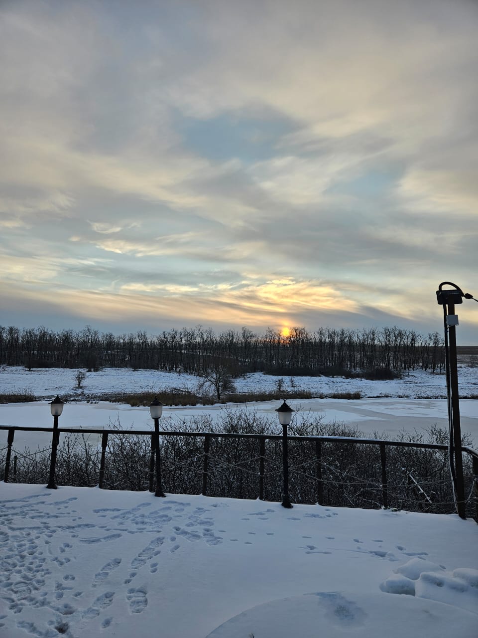 Фото Домик в терновнике