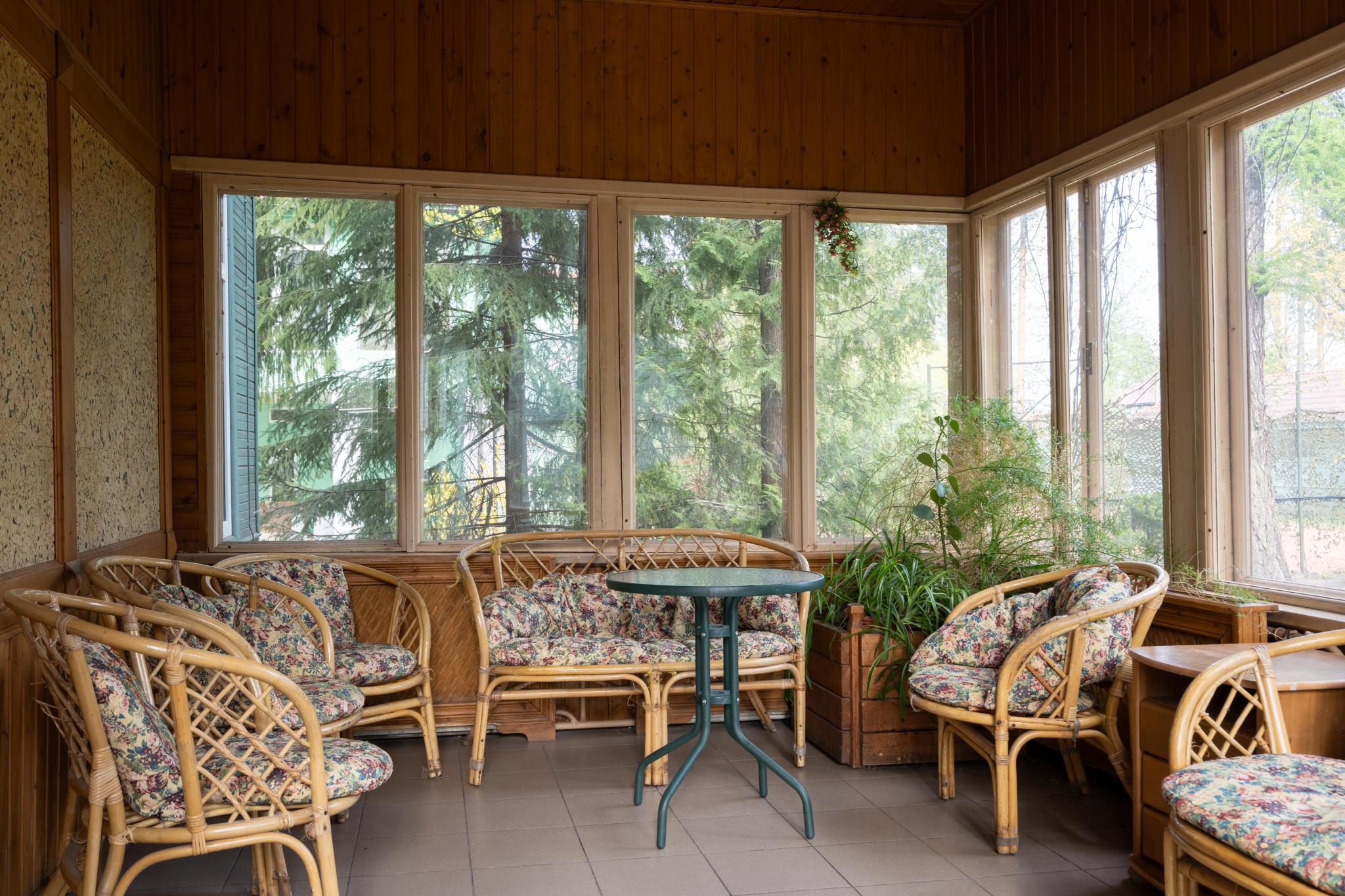 Фото Forest Relax