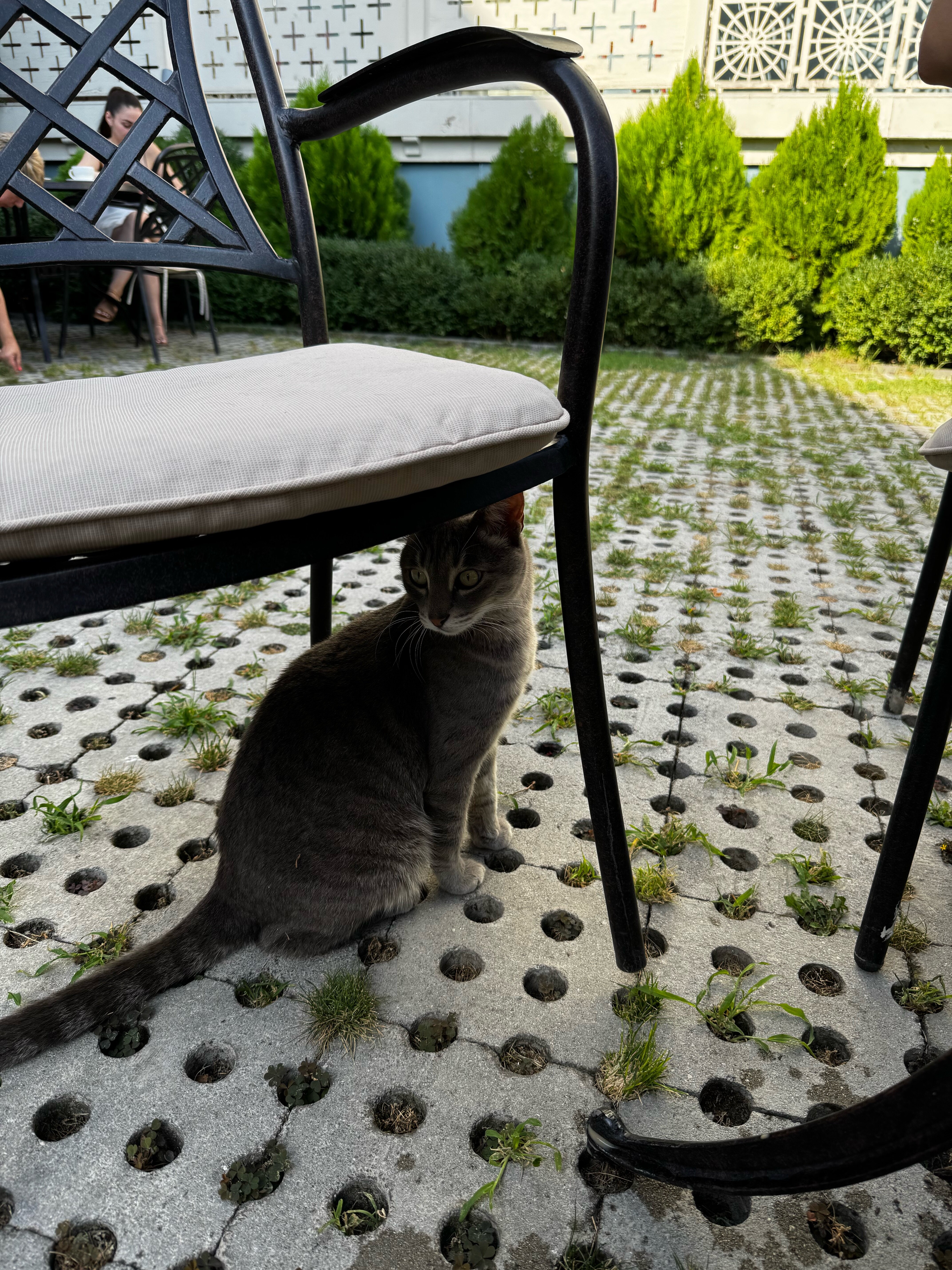 Фото Amante Narikala