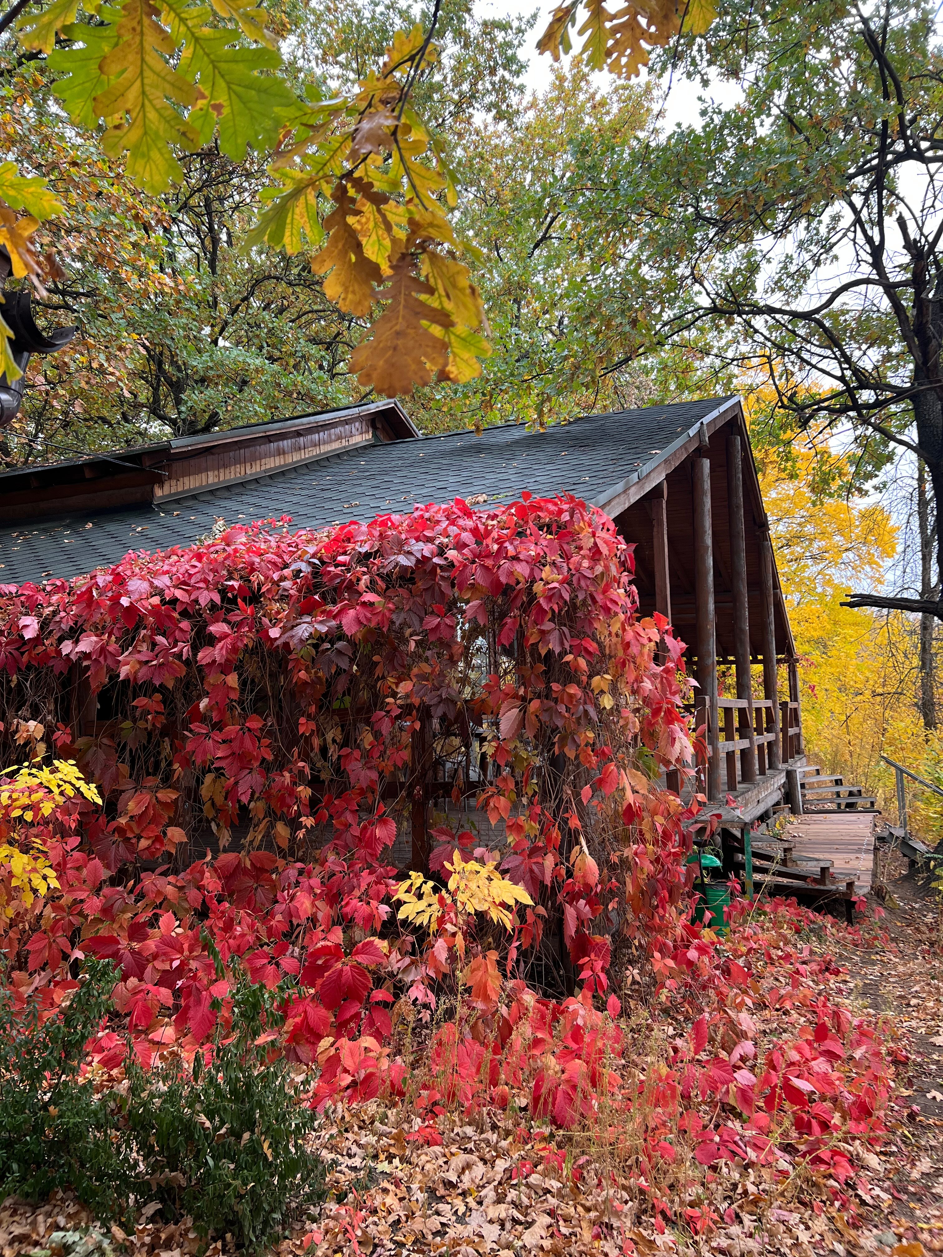 Фото Дубровский