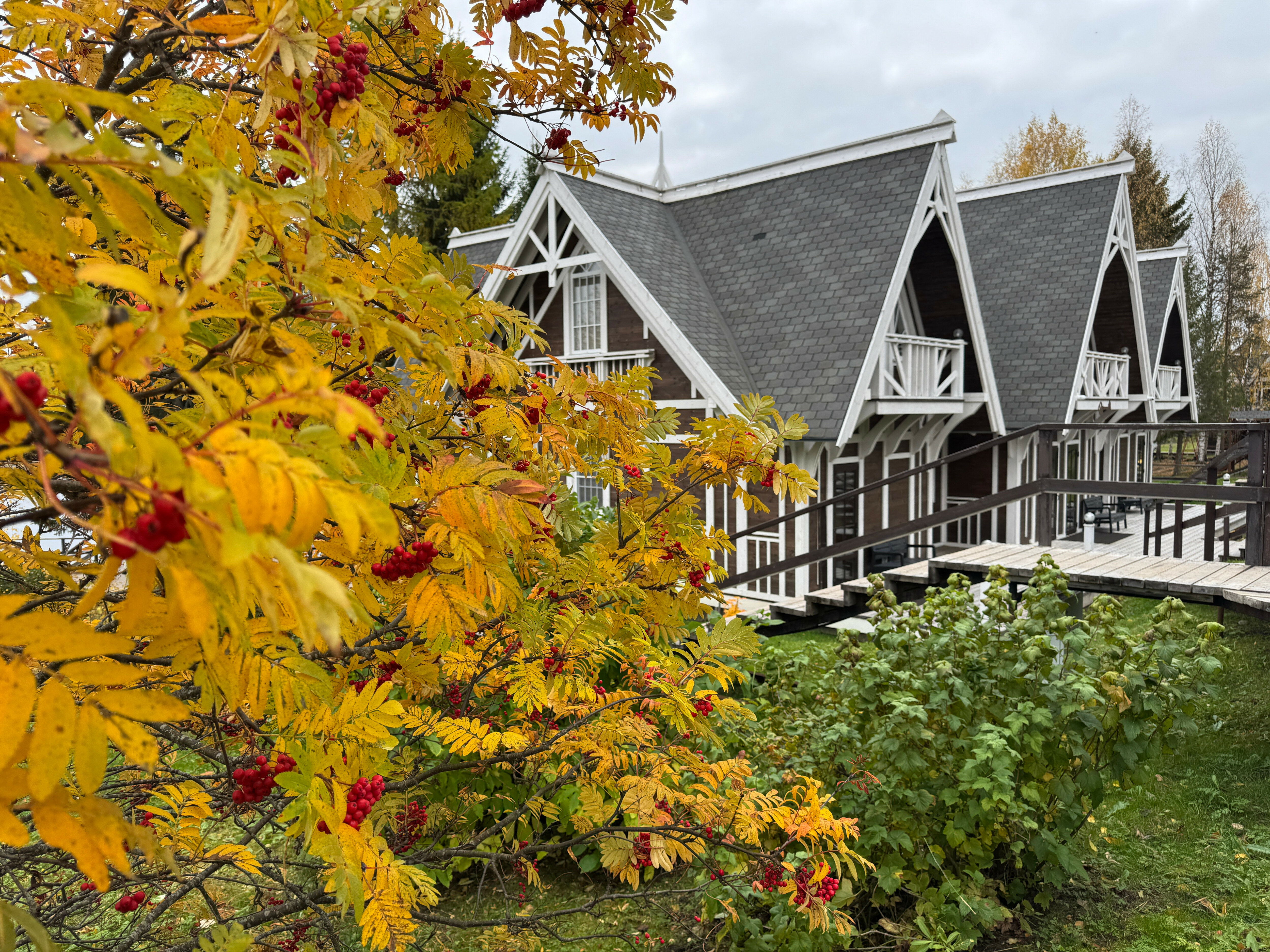 Фото Парк Голубино