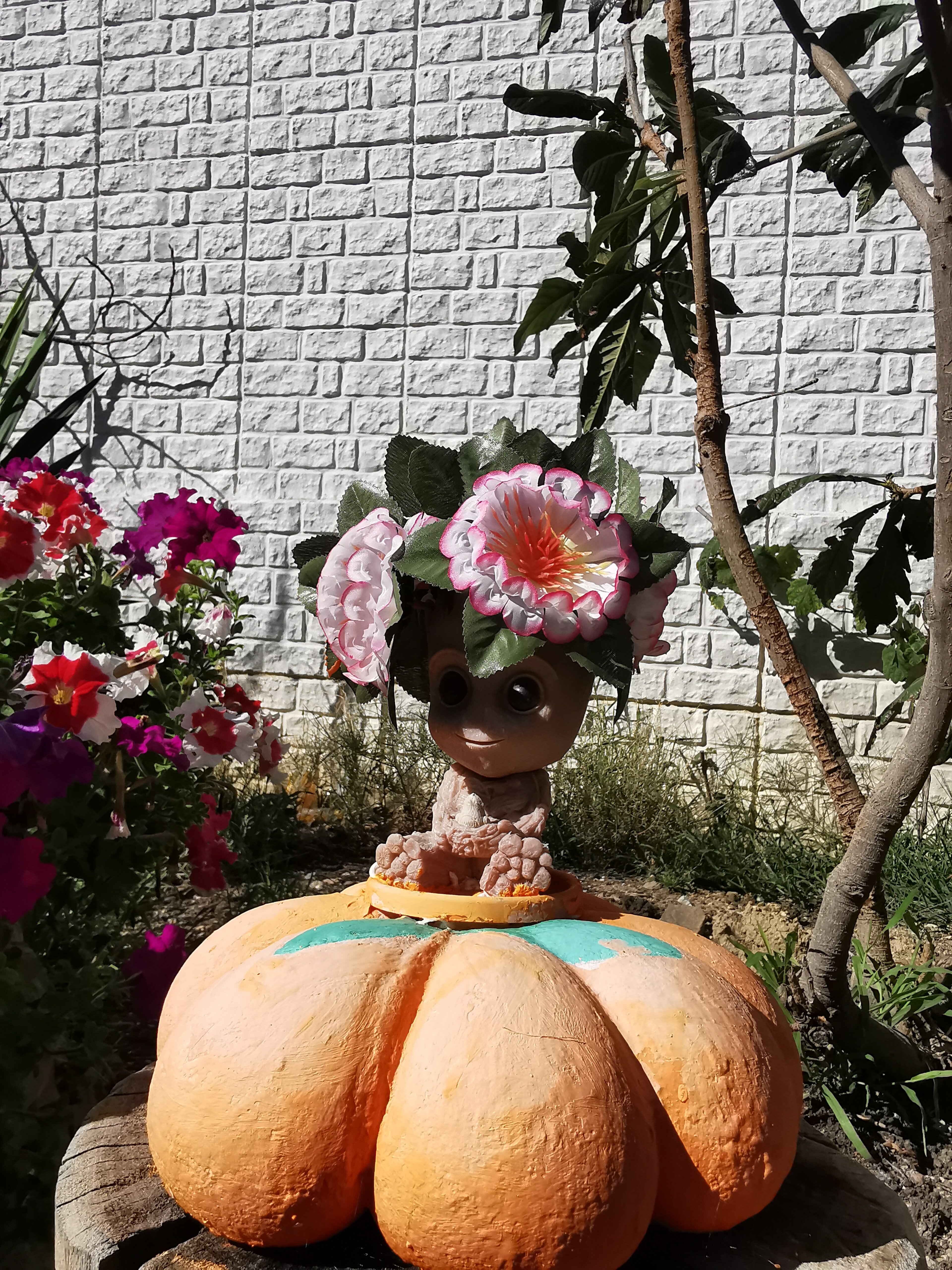 Фото Комфорт