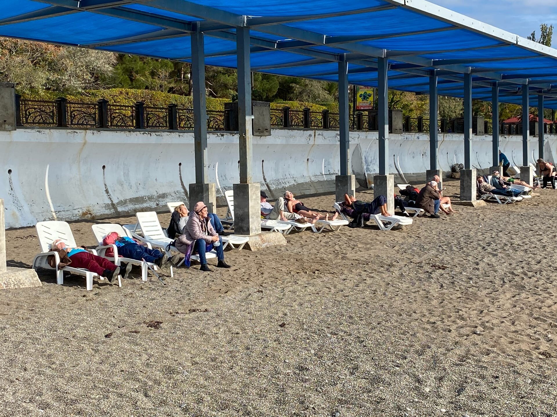 Фото Жасмин