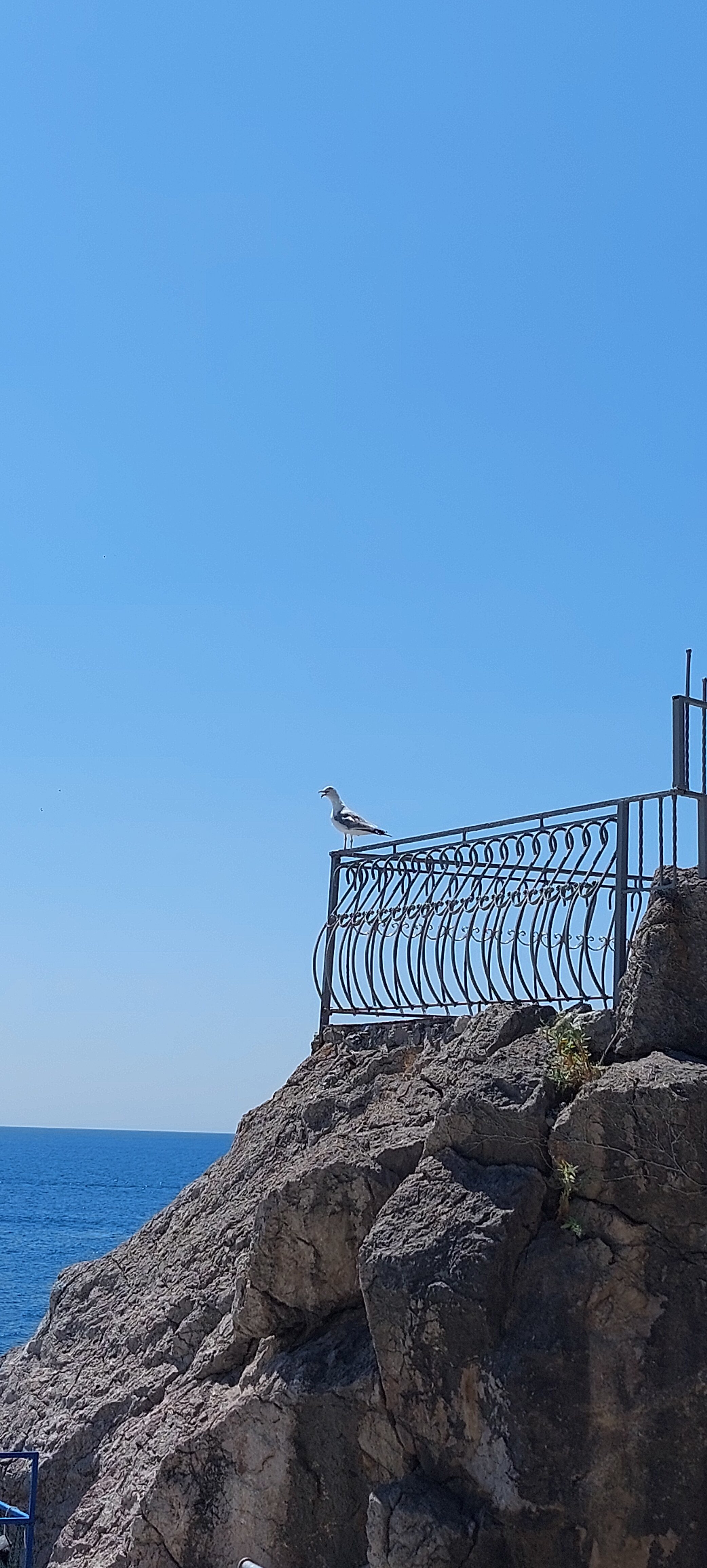 Фото Парк-Отель Родос