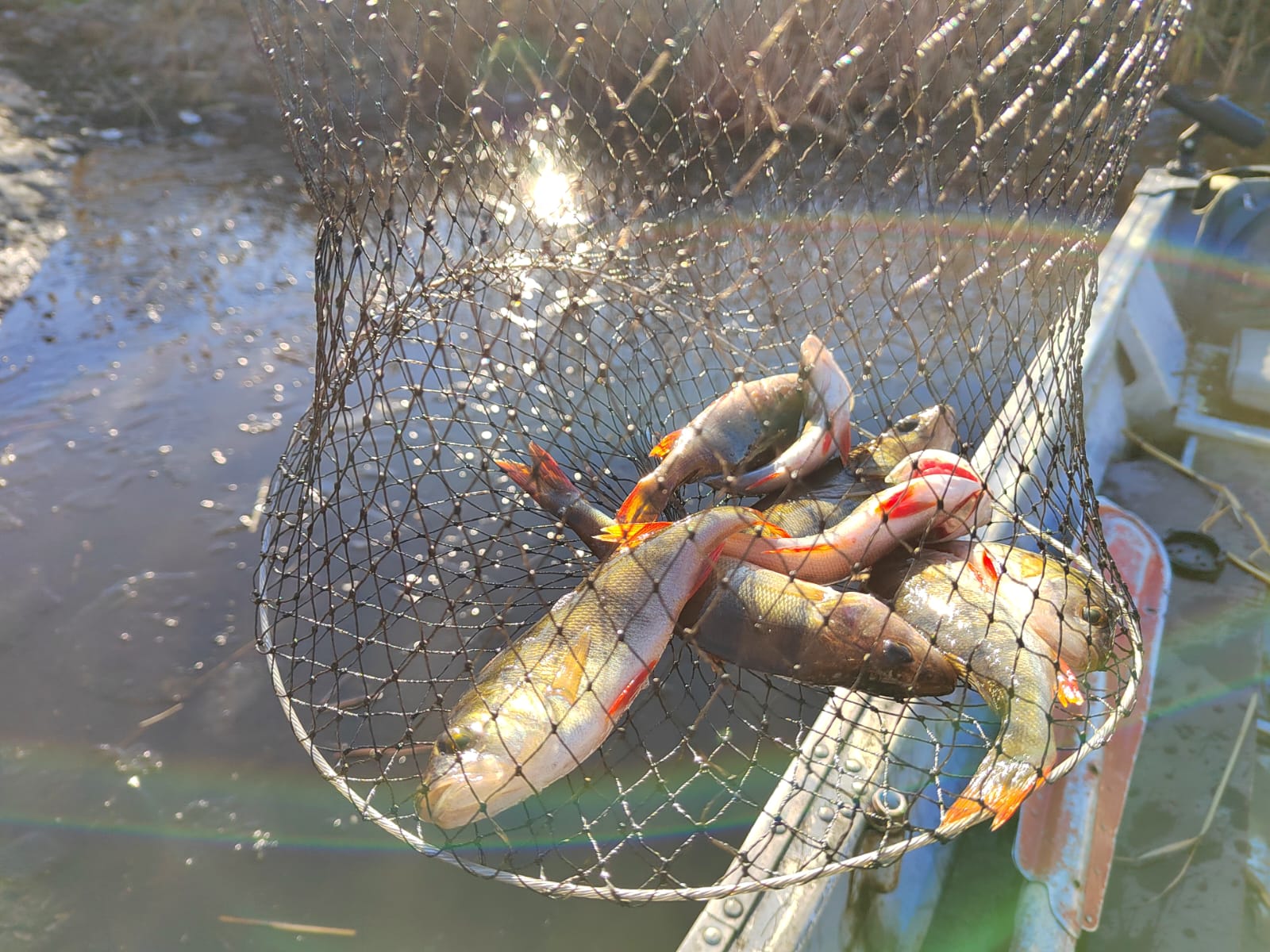 Фото Мункинмяки