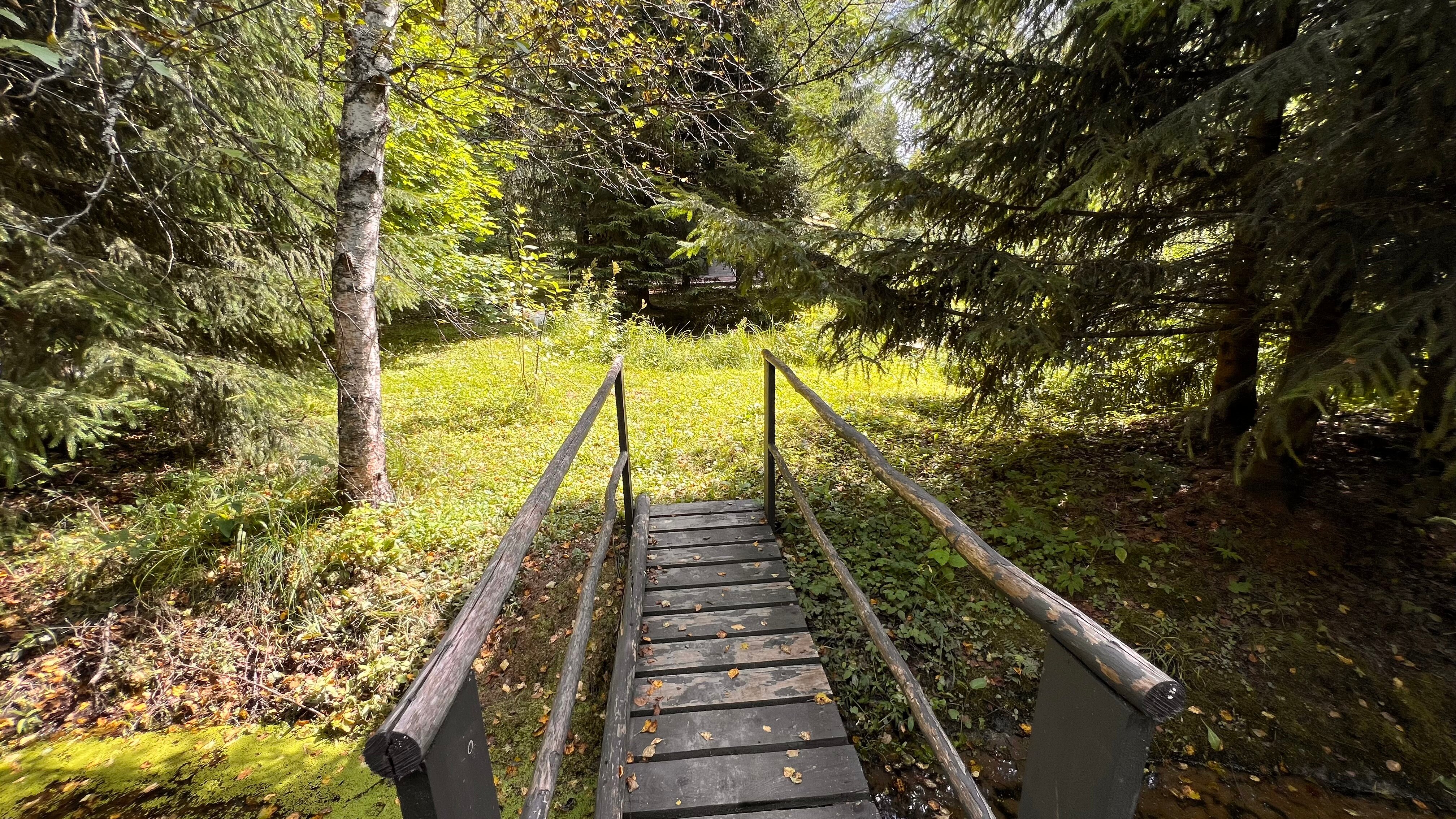 Фото Балдейкино