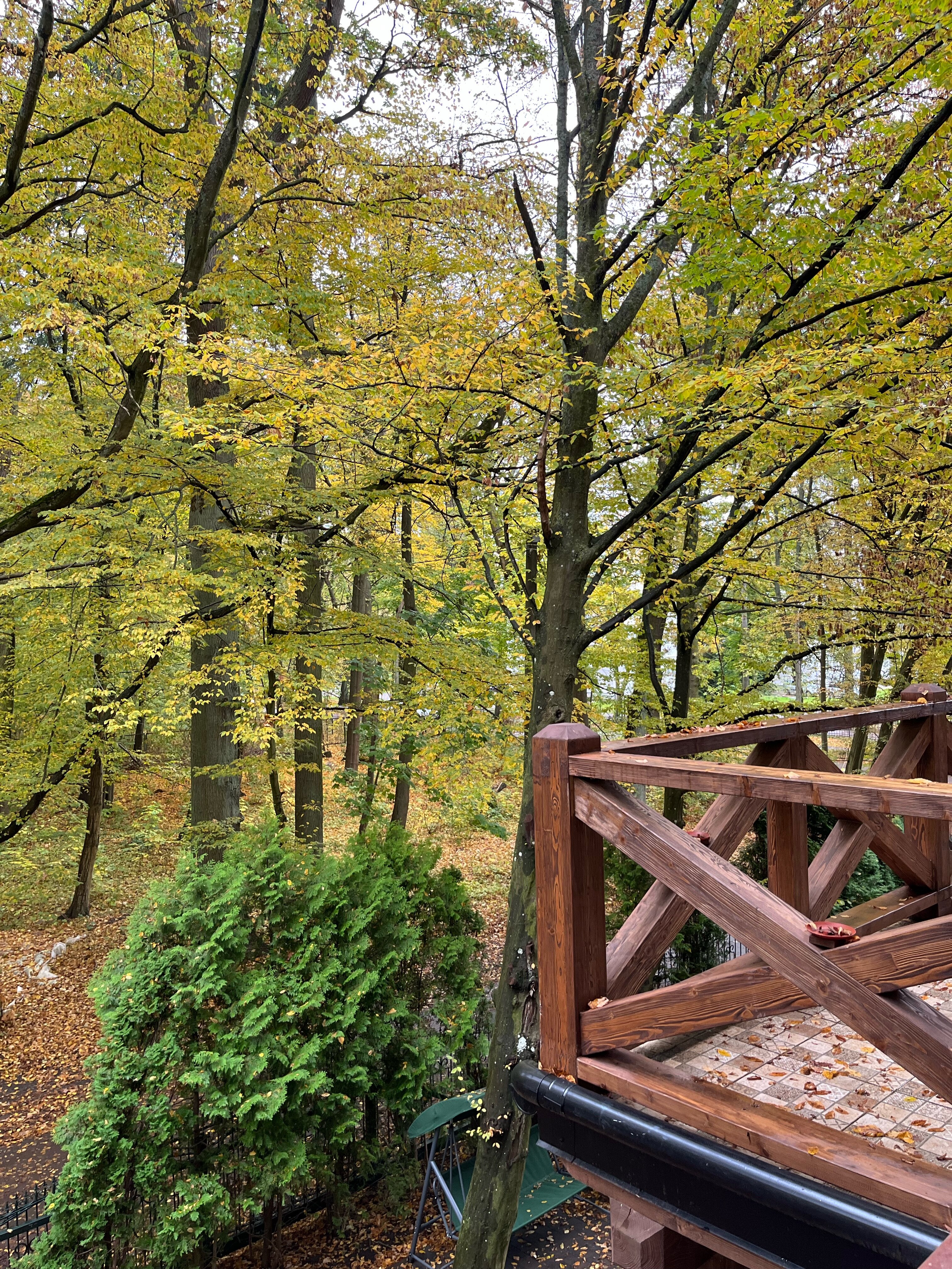 Фото География