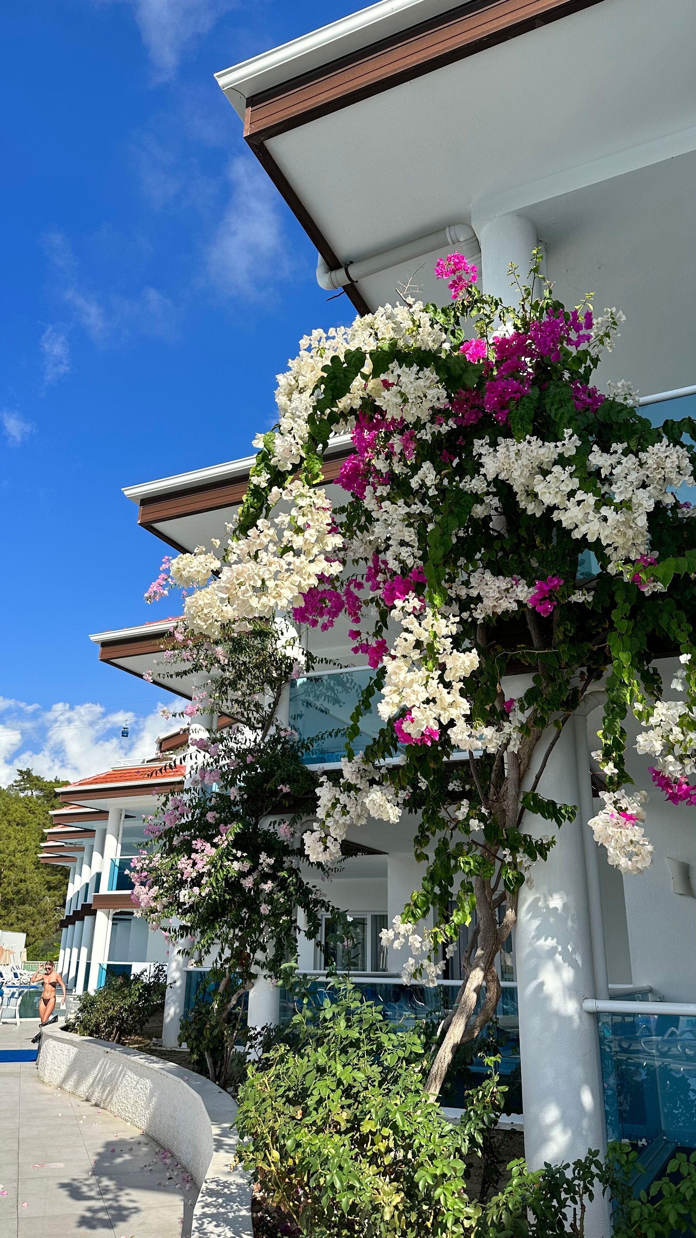 Фото Garcia Resort & Spa