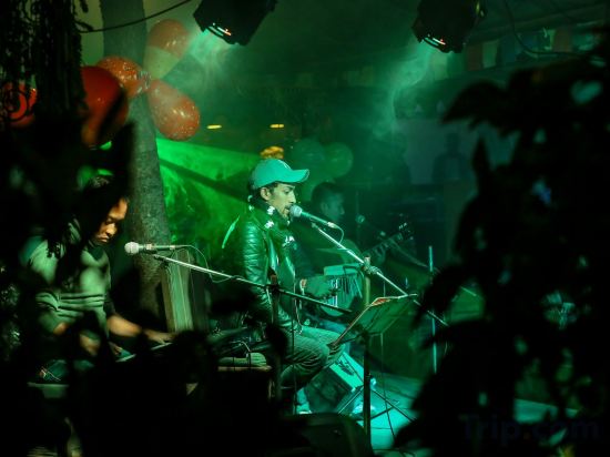 Фото Hotel Himalayan Oasis