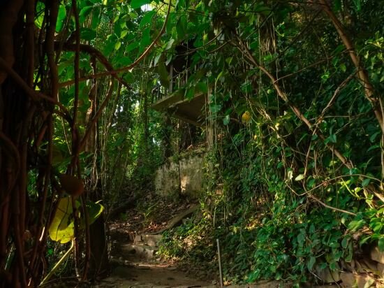 Фото Отель Kings Pavilion