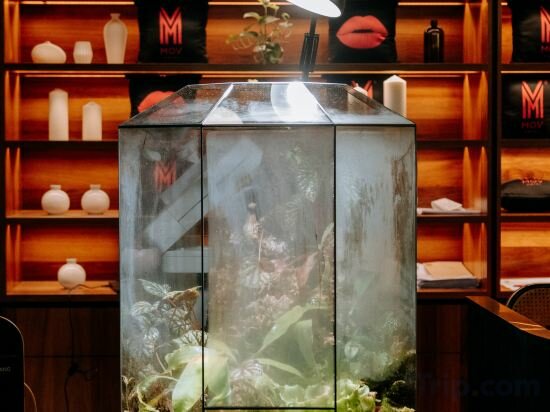 Фото Mov Hotel Kuala Lumpur