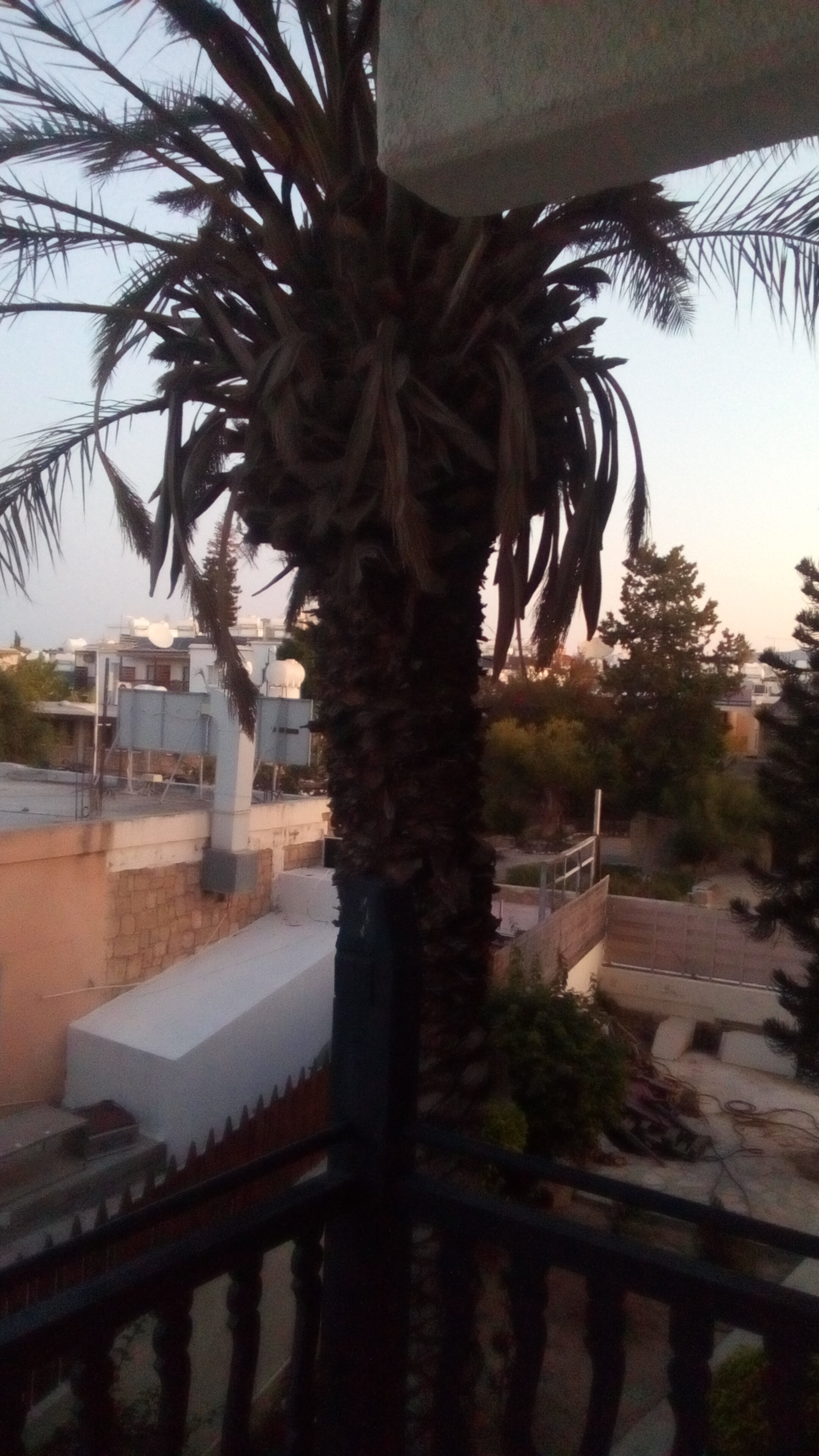 Фото Dionysos Central Hotel