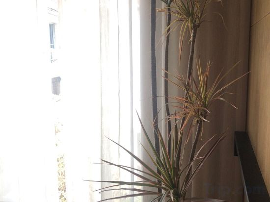 Фото West Lake Begonia Art Homestay