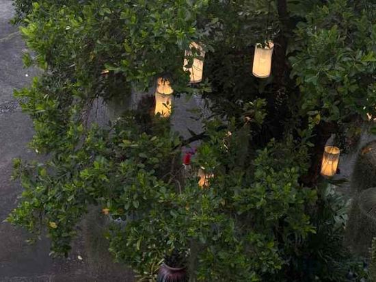 Фото The Xym Hotel