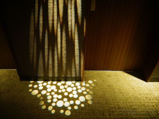 Фото Solaria Nishitetsu Hotel Ginza