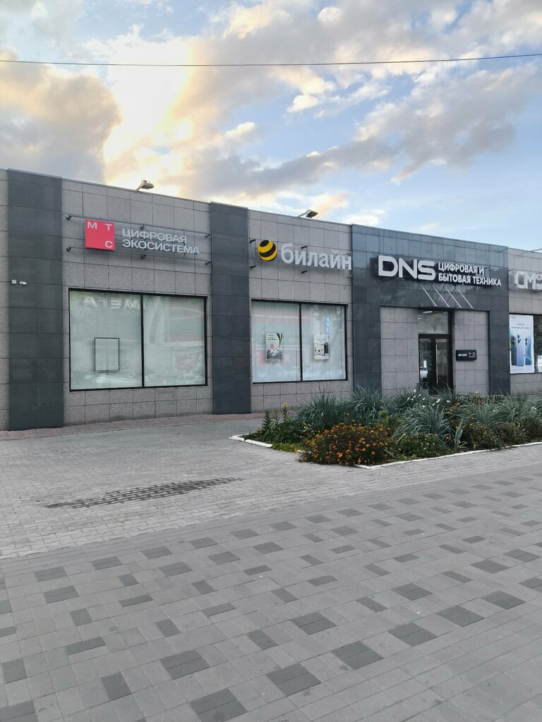 Electronics store MobyStyle Service, Blagoveshchensk, photo