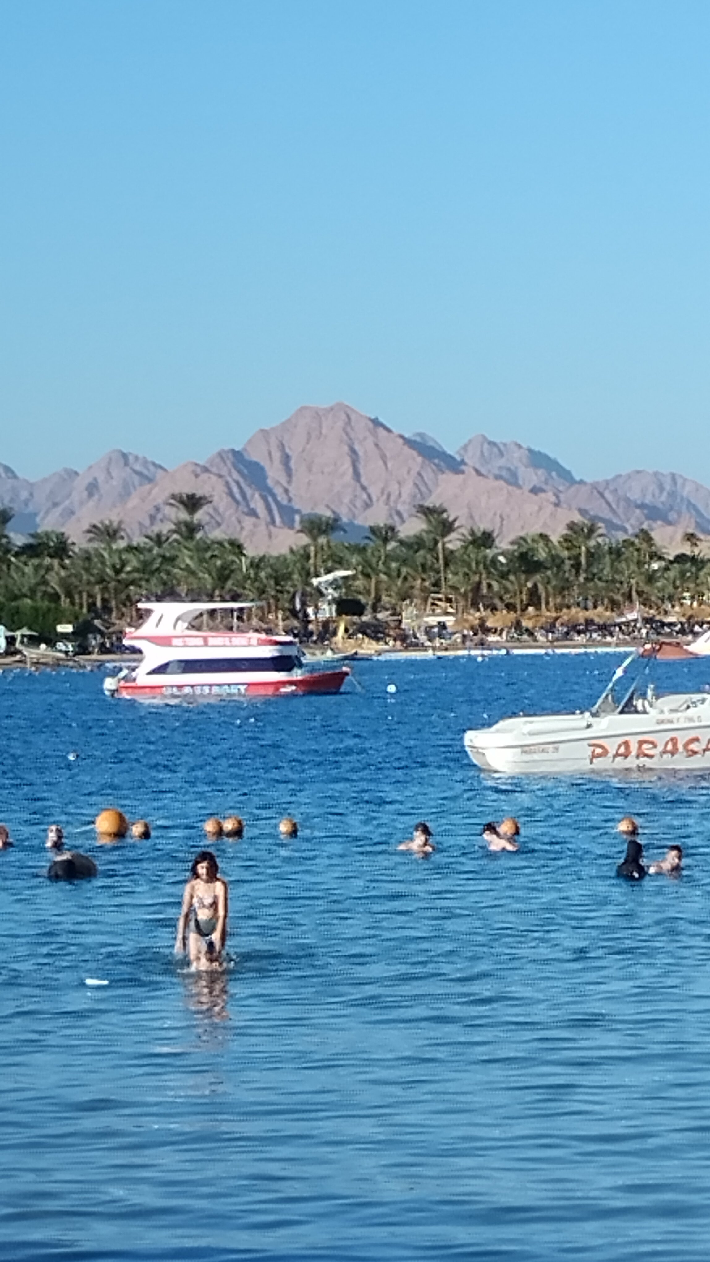 Фото Oriental Rivoli Hotel & SPA