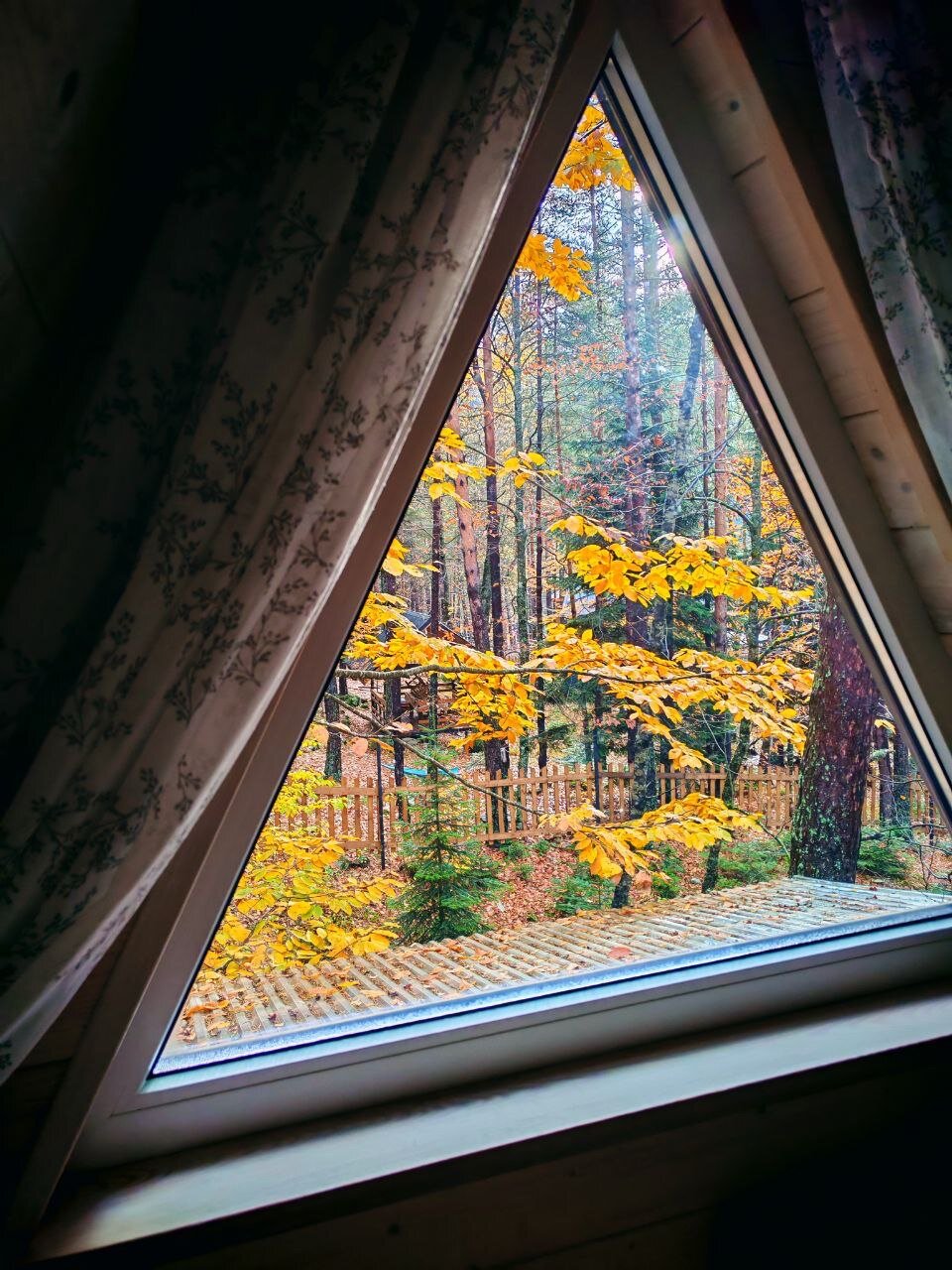 Фото Ness.village